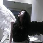 DarkComet DarkComet Profile Picture